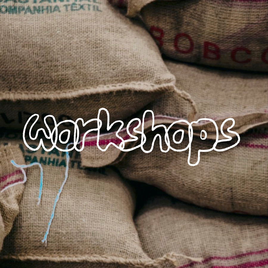 Workshops